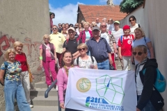 5-Kamienne-schodki-ma-tez-Slupca