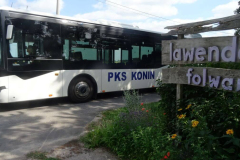 K-dwor_23