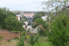 DSC05742