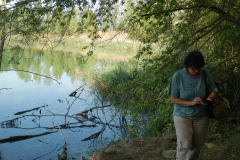 OLYMPUS DIGITAL CAMERA